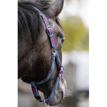 Halster Manchester HKM