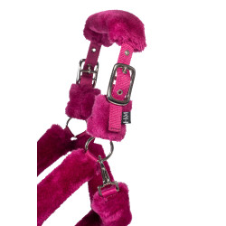 Comfort halster HKM