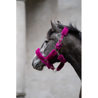Comfort halster HKM