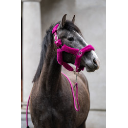 Comfort halster HKM
