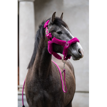 Comfort halster HKM