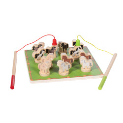 Weide voor paarden HKM