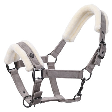 Halster Imperial Riding Bandit