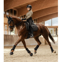 Dressuurbeschermers Phoenix Waldhausen