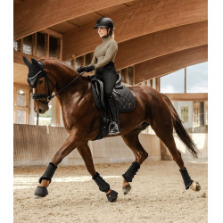Dressuurbeschermers Phoenix Waldhausen Dressuurbeschermers Phoenix Waldhausen