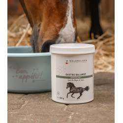 Paardenvoer Gastro Balance – maagondersteuning | Equi-Clic