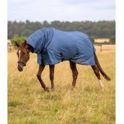 Waldhausen FlyControl anti-vliegendeken met halsstuk Blauw