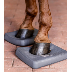 Waldhausen Health + Care Balance zooltjes Grijs
