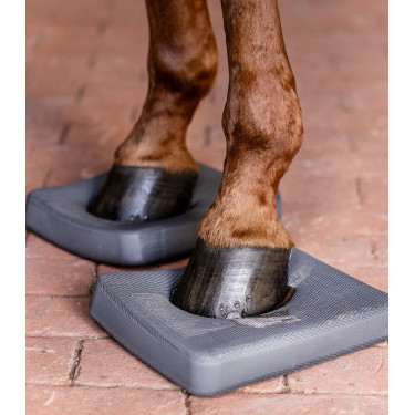Waldhausen Health + Care Balance zooltjes Grijs