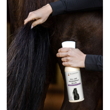 Paarden spray voor vacht en manen – Waldhausen Deluxe