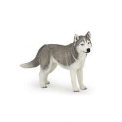 Siberische Husky-figuur Papo