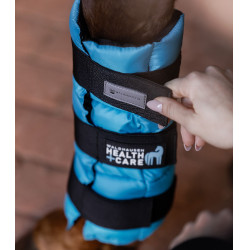 Warmte- en koudetherapie beenbeschermers voor paarden