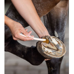 KERALIT Undercover hoefverzorging voor paarden | Equi-Clic