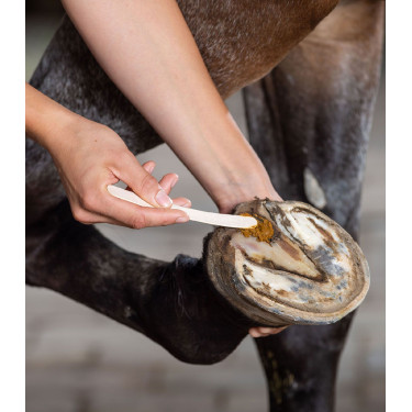 KERALIT Undercover hoefverzorging voor paarden | Equi-Clic