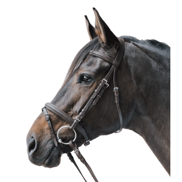Hoofdstel voor paardrijden Star Lifestyle – Waldhausen