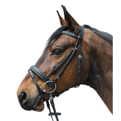 Hoofdstel voor paard Star Diamond – ruitersport