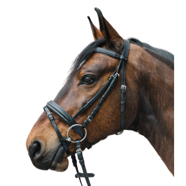 Hoofdstel voor paard Star Diamond – ruitersport