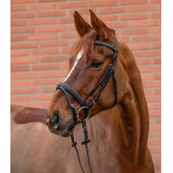 Hoofdstel voor paard Star Diamond – ruitersport