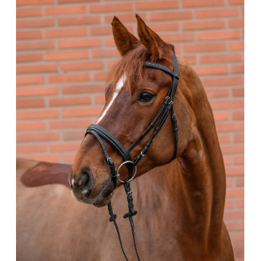 Hoofdstel voor paard Star Diamond – ruitersport