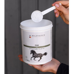 Zink supplement voor paarden – hoef- en huidondersteuning