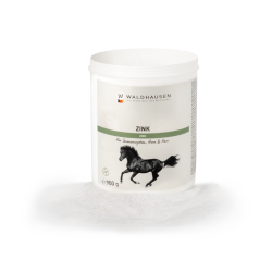 Zink supplement voor paarden – hoef- en huidondersteuning