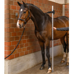 Aluminium paarden-toise met waterpas | Ruitersport