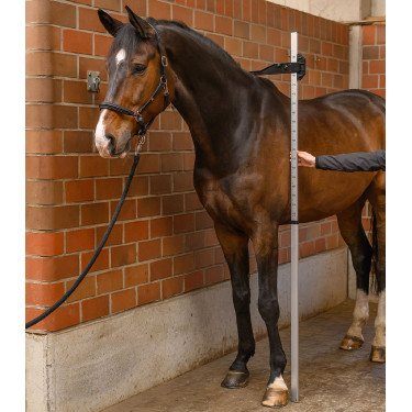 Aluminium paarden-toise met waterpas | Ruitersport