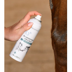 Desinfectiespray Waldhausen 200 ml Blauw