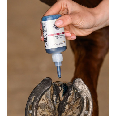 Intensieve hoefverzorging lotion Waldhausen – paardensport Intensieve hoefverzorging lotion Waldhausen – paardensport