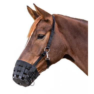 Grazing muzzle paard Waldhausen – weidekorf | equi-clic
