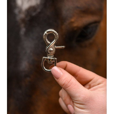 Waldhausen katrol-mousqueton voor paardensport
