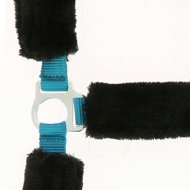 Norton halster Full synthetische schapenvacht Elektrisch blauw / zwart