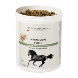 Paarden supplement magnesium – rust & prestatie | Equi-Clic