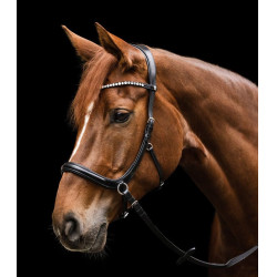Bitloos hoofdstel Sensation Waldhausen X-Line Zwart