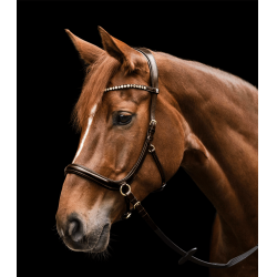 Bitloos hoofdstel Sensation Waldhausen X-Line Bruin