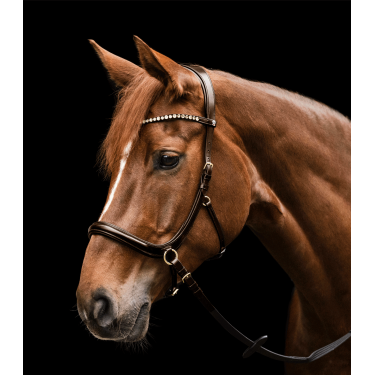 Bitloos hoofdstel Sensation Waldhausen X-Line Bruin