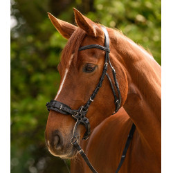 Hackamore hoofdstel Waldhausen X-Line Zwart Hackamore hoofdstel Waldhausen X-Line Zwart