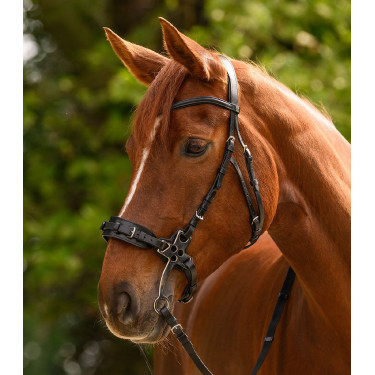 Hackamore hoofdstel Waldhausen X-Line Zwart Hackamore hoofdstel Waldhausen X-Line Zwart