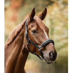 Waldhausen S-Line halster in Glamour-leer Zwart