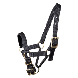 Waldhausen halster voor alpaca Zwart
