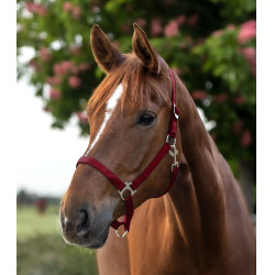 Halter Waldhausen Perlon Bordeaux Halter Waldhausen Perlon Bordeaux