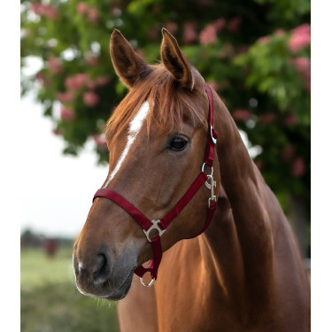 Halter Waldhausen Perlon Bordeaux Halter Waldhausen Perlon Bordeaux