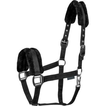 Halster paard Waldhausen First – ruitersport halster Halster paard Waldhausen First – ruitersport halster