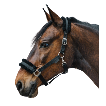 Halster paard Waldhausen First – ruitersport halster Halster paard Waldhausen First – ruitersport halster