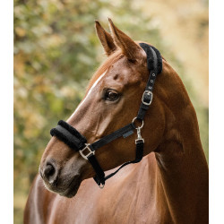 Halster paard Waldhausen First – ruitersport halster Halster paard Waldhausen First – ruitersport halster