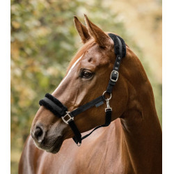 Halster paard Waldhausen First – ruitersport halster Halster paard Waldhausen First – ruitersport halster