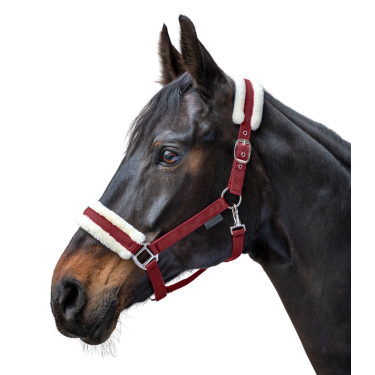 Halster Waldhausen First Bordeaux Halster Waldhausen First Bordeaux