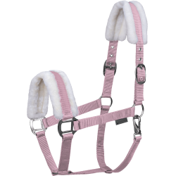 Halster paard Waldhausen First – ruitersport halster