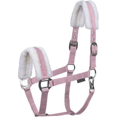 Halster paard Waldhausen First – ruitersport halster