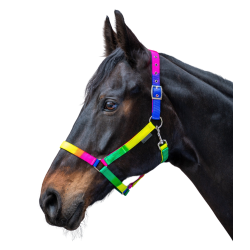 Paardenhalster Waldhausen Rainbow – verstelbaar neon Paardenhalster Waldhausen Rainbow – verstelbaar neon